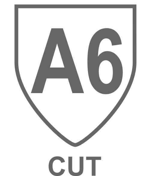 Standard Safety Icons